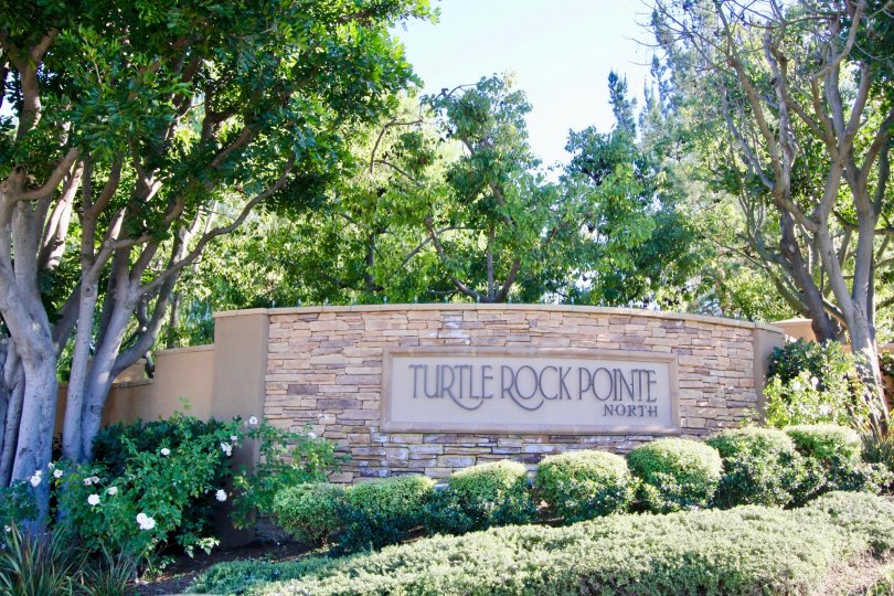 Turtle Rock Pointe Irvine CA